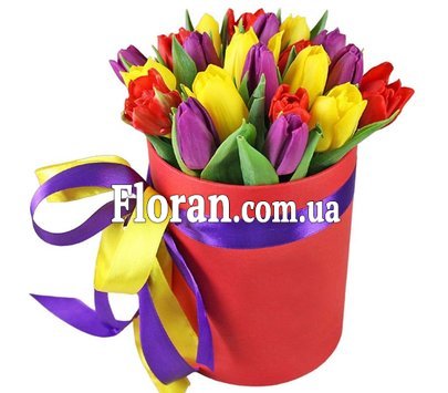 Мікс тюльпанів у коробці