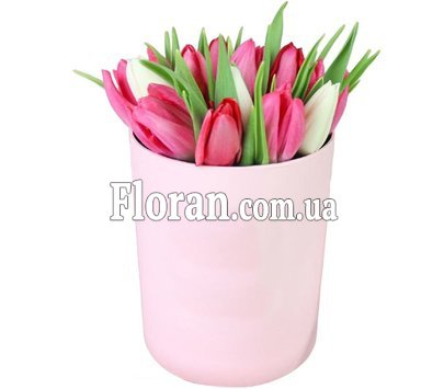 Мила коробочка тюльпанів