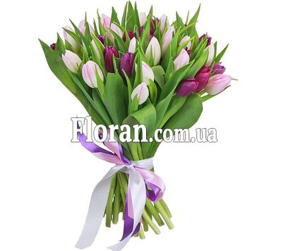 Cute bouquet of tulips