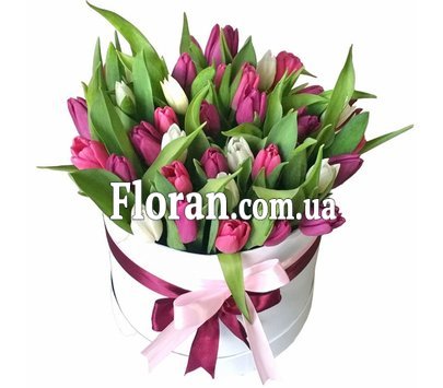 Модна коробка тюльпанів