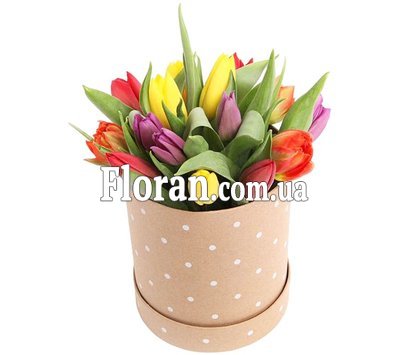 Невелика коробочка тюльпанів