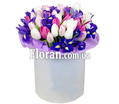 Нежная коробка тюльпанов и ирисов