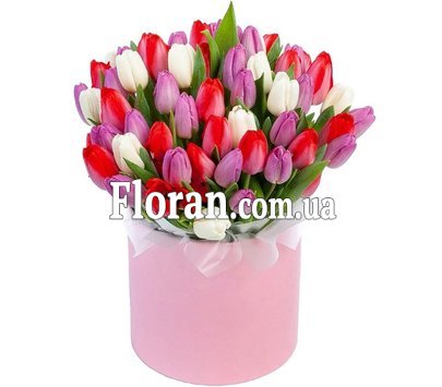 Очень красивая коробка с тюльпанами