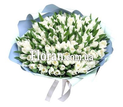 Huge bouquet of white tulips