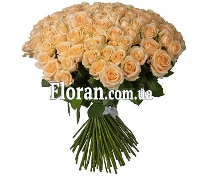 Huge bouquet of roses