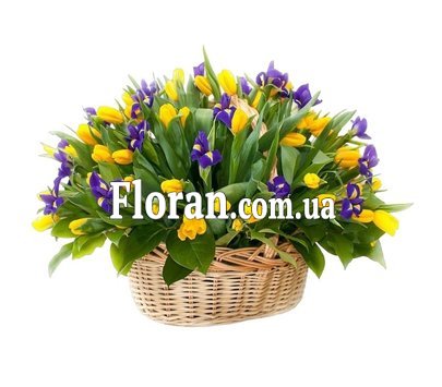 Патриотическая корзина с тюльпанами и ирисами