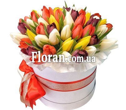 Подарочная коробка тюльпанов