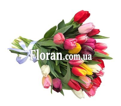 Подарунковий букет тюльпанів