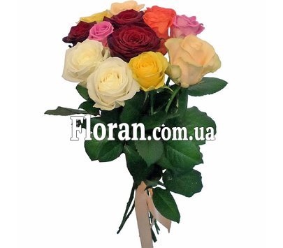 Multi-colored roses under a ribbon