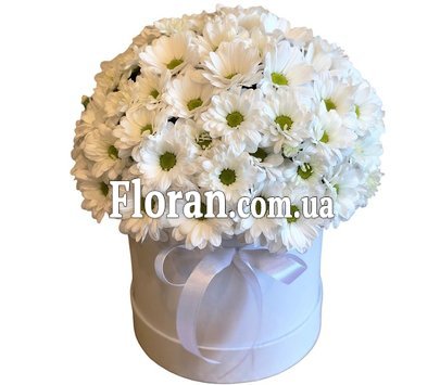 Ромашки в коробке