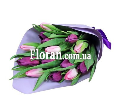Розовые и фиолетовые тюльпаны