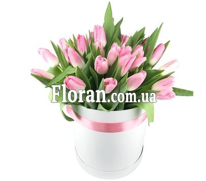 Рожеві тюльпани в коробці