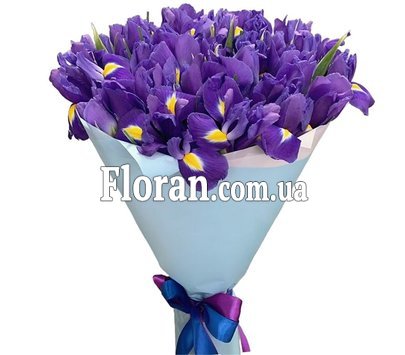 Сині іриси букет