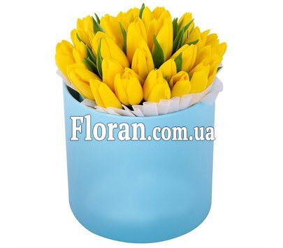 Сонячні тюльпани в коробці