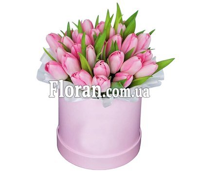 Сучасна коробка тюльпанів