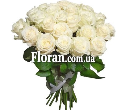 Свежие белые розы