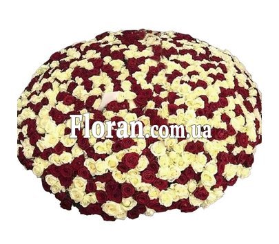 Тысяча и одна роза