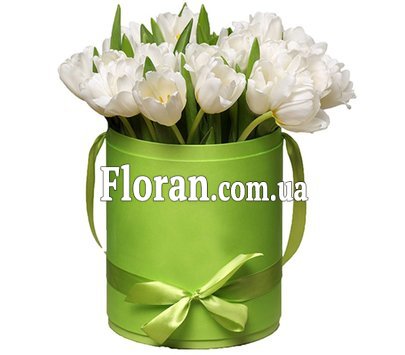 Тюльпани білі в коробці