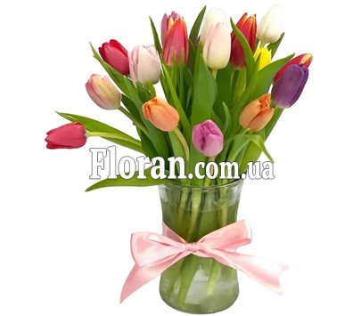 Тюльпаны разноцветные