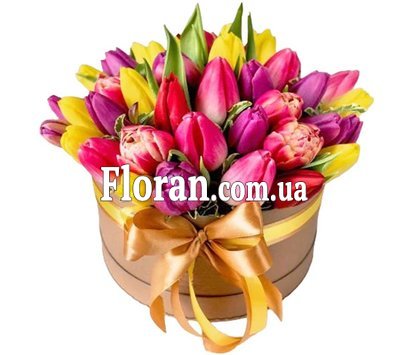 Тюльпани в круглій коробці
