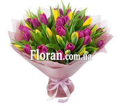 Жовті та фіолетові тюльпани