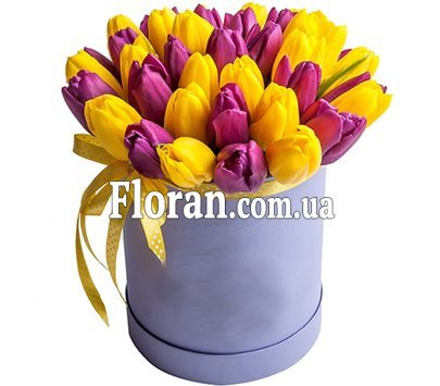 Желтые и фиолетовые тюльпаны в коробке