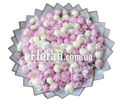 151 півонія в букеті