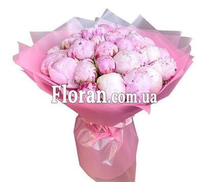 25 pink peonies