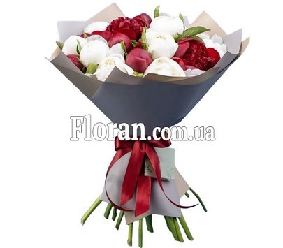 Білі та бордові півонії