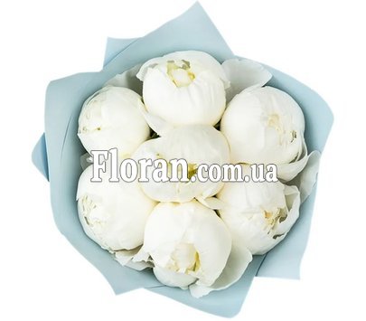 Білі півонії імпортні