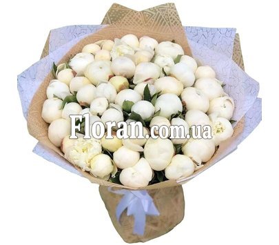 White peonies in a bouquet