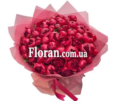 Большой букет бордовых пионов