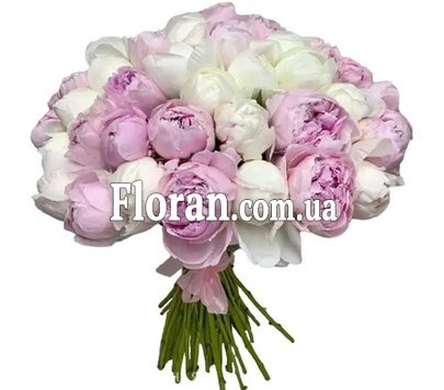 Букет білих і рожевих півоній