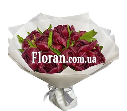 Bouquet of burgundy peonies