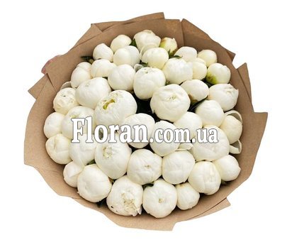 Bouquet of white peonies