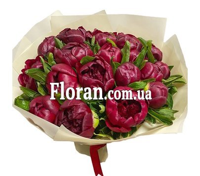 Bouquet of burgundy peonies