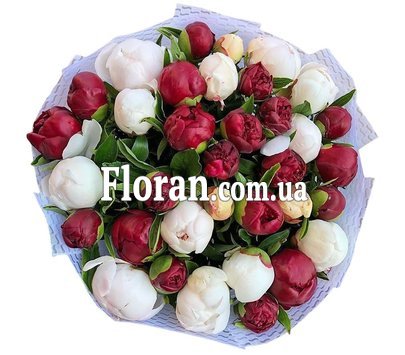 Букет із червоних і білих півоній