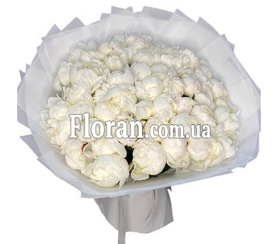 Красивый букет белых пионов