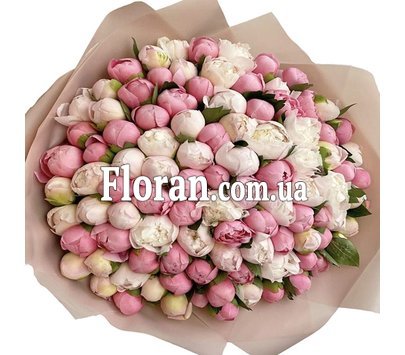 Півонії 101 штука
