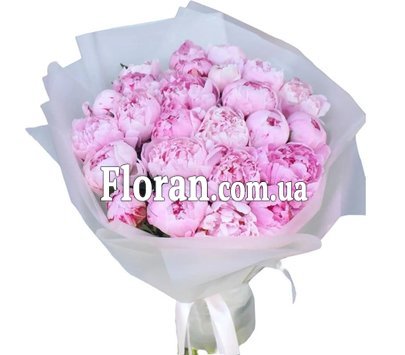 Півонії в монобукеті